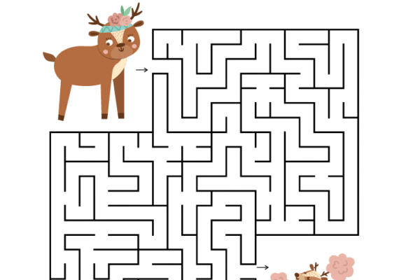 Fun Puzzles: Boost Your Brainpower Review