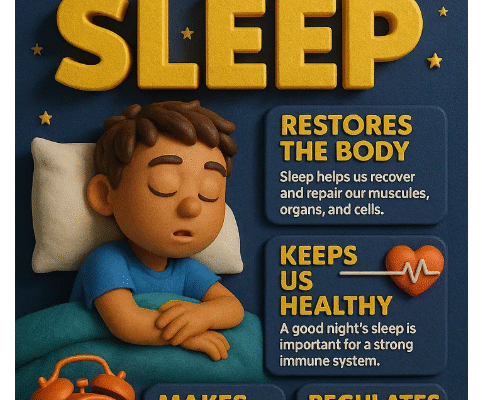 PLR 3D SmartPoster Goldmine Review